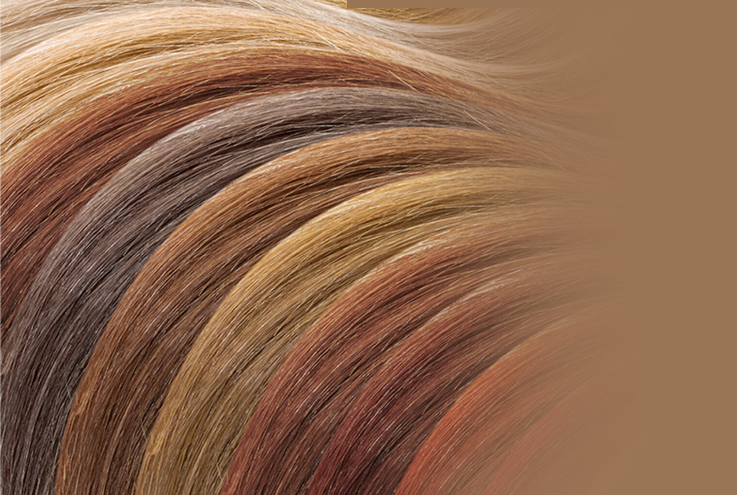 Hair Color Protection Solutions